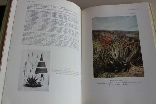 The Aloes of Tropical Africa and Madagascar - Reynolds - Subscriber's Edition limited numbered