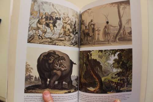The Caliban Shore, The fate of The Grosvenor Castaways - Taylor