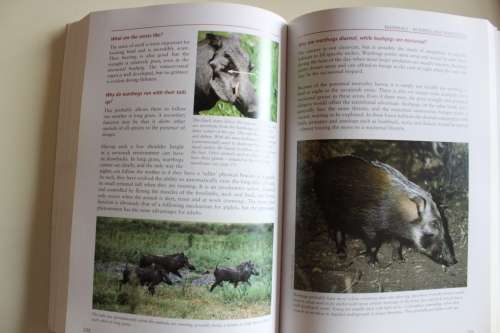 BEAT ABOUT THE BUSH: MAMMALS by Trevor Carnaby