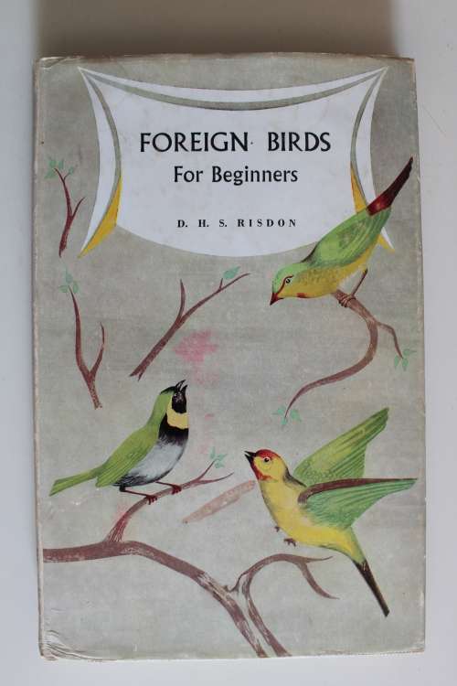 Foreign birds for beginners - Risdon