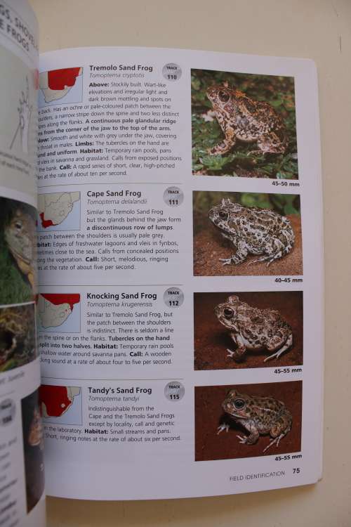 Frogs & Frogging in South Africa - Carruthers, Vincent & du Preez, Louis