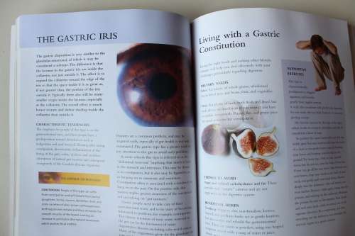 Practical Iridology   - Jackson-Main