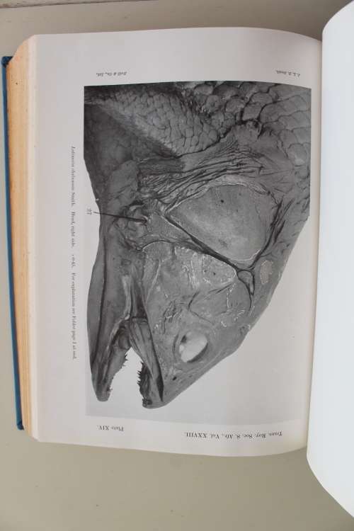 1941 Transactions of the Royal Society of South Africa - Volume XXVIII