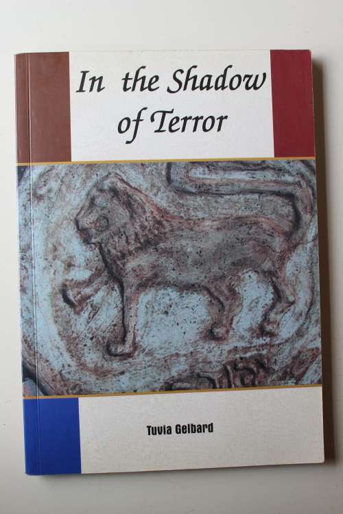 In the Shadow of Terror - Tuvia Gelbard