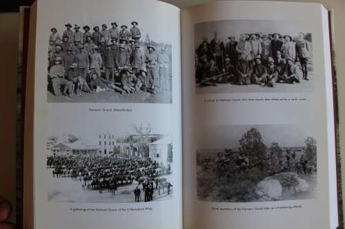 The Dynamics Of Treason - Boer Collaboration In The South African War Of 1899-1902 - Grundlingh