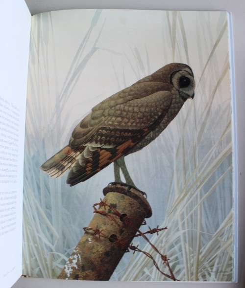 The Owls of Southern Africa by Alan Kemp and Simon Calburn First Edition 1987 with Slip Case