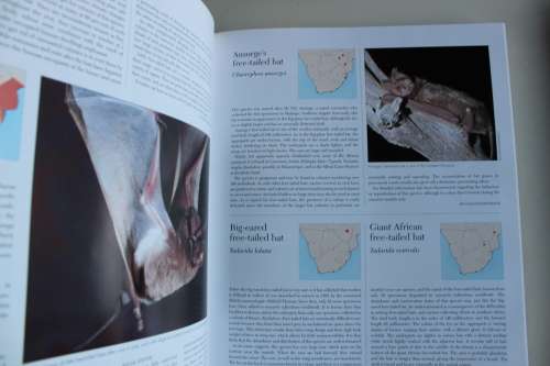 Complete Book of Southern African Mammals - Mills & Hes