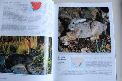 Complete Book of Southern African Mammals - Mills & Hes