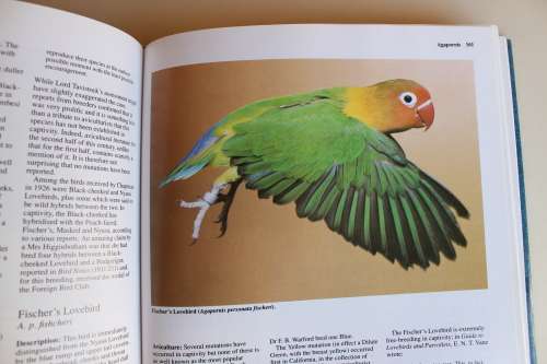 Parrots their care and breeding - Rosemary Low