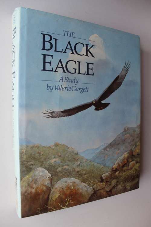 THE BLACK EAGLE A STUDY - VALERIE GARGETT ( Eagles Raptor Birds of Prey )