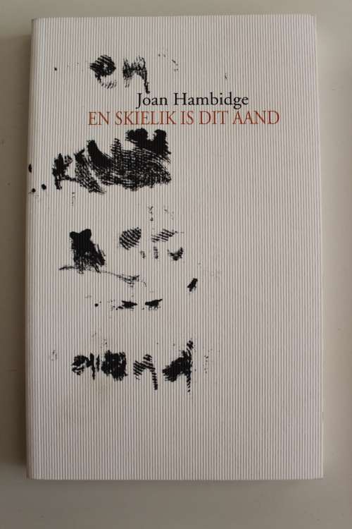 En skielik is dit aand - Joan Hambidge