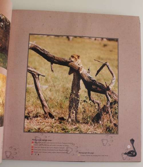Into the Okavango, The Africa Poems and Photographs - Marianne & Robert Burgoyne