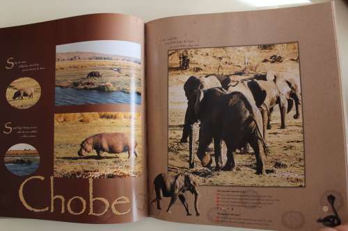 Into the Okavango, The Africa Poems and Photographs - Marianne & Robert Burgoyne