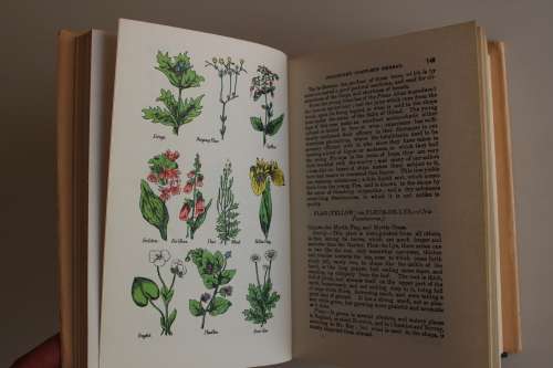 Culpeper's complete herbal guide