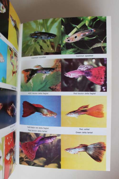 Dr. Axelrod`s Mini-Atlas of Freshwater Aquarium Fishes - 992 pages