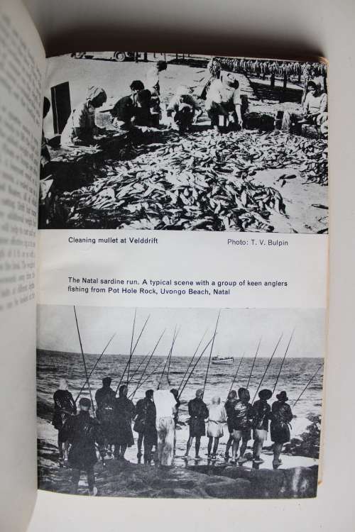 Salt-water fish and fishing in Southern Africa - Lilliecrona