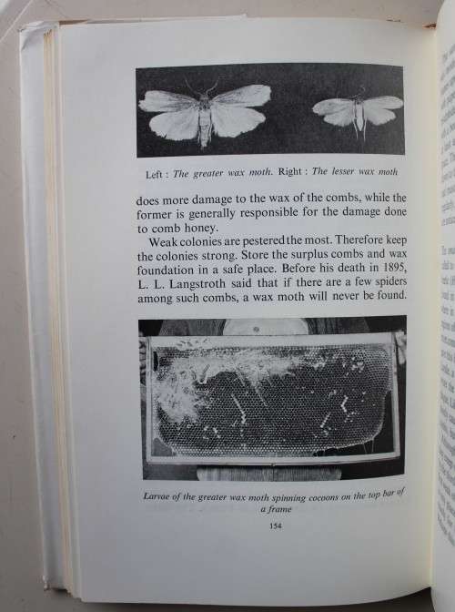 Beekeeping in Southern Africa - May