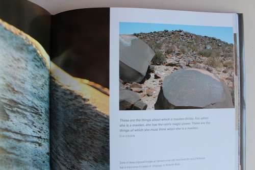 SAN ROCK ENGRAVINGS MARKING THE KAROO LANDSCAPE - NEIL RUSCH & JOHN PARKINGTON