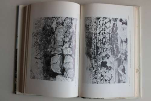 Rhodesia Served the Queen Rhodesian Forces in the Anglo-Boer War 1899 - 1902 Vol I