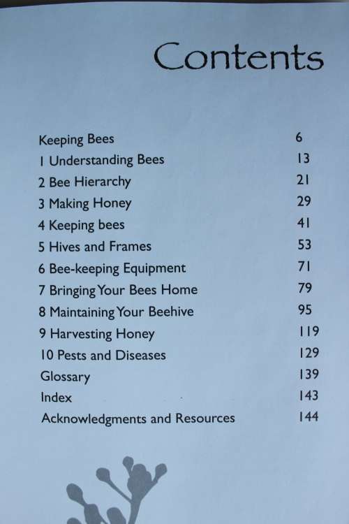 Bees and Bee-keeping - Costantino