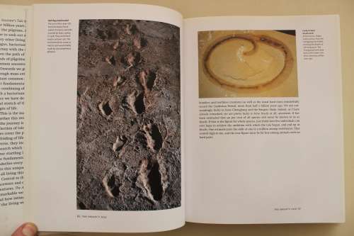 SIGNED: The Ancestor`s Tale -  Richard Dawkins