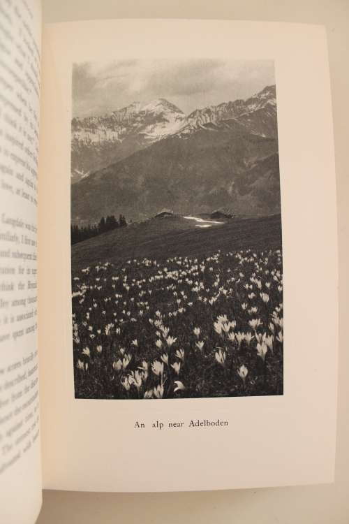 The Mountain Vision - Frank Smythe