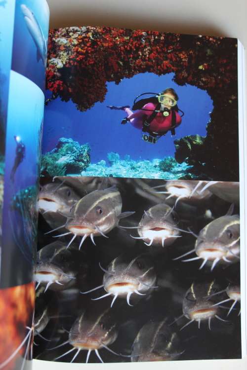 DIVE SOUTH AFRICA AL J VENTER with JOHN H VISSER ( Skin Diving )