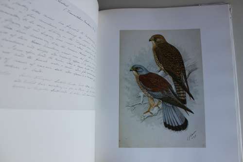 The Biography of Claude Gibney Finch-Davies, 1875-1920 - Kemp