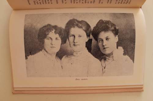 Anglo-Boereoorlog - Ons Japie Dagboek van Anna Barry 1899 - 1902