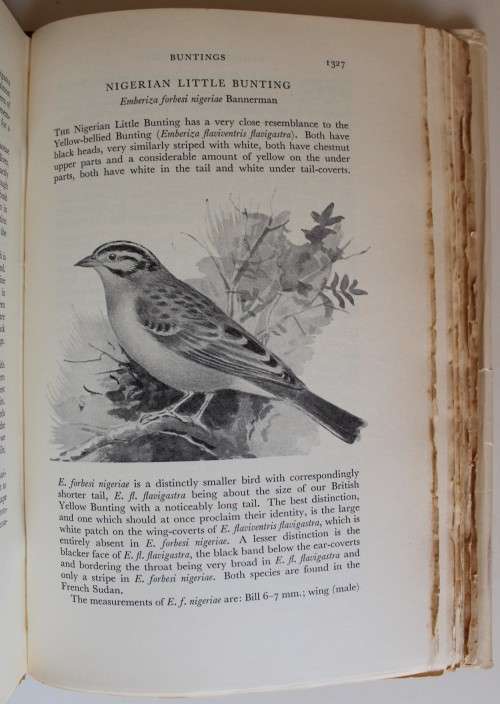 The Birds of West and Equatorial Africa Volume 1 & 2  -  David A. Bannerman