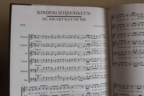 LA PAIX Musiek van Awie van Wyk