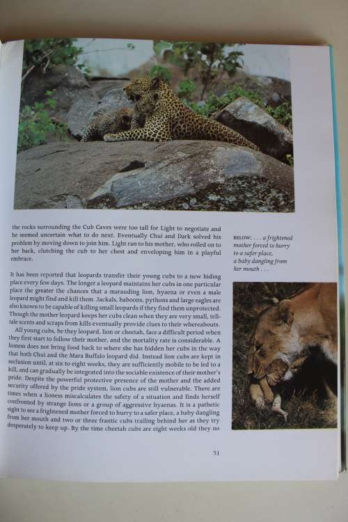 The Leopard`s Tale - Jonathan Scott