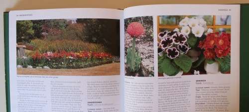 Growing bulbs in Southern Africa - Barnhoorn