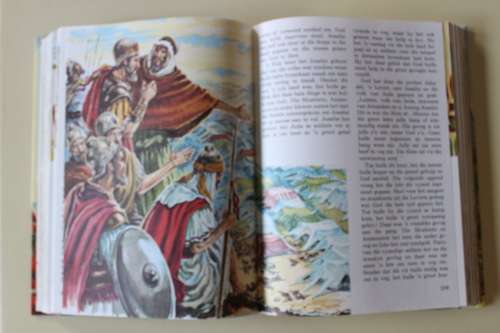DIE NUWE KINDERBYBEL IN KLEUR - PAUL VON STADEN  - Kinder Bybel