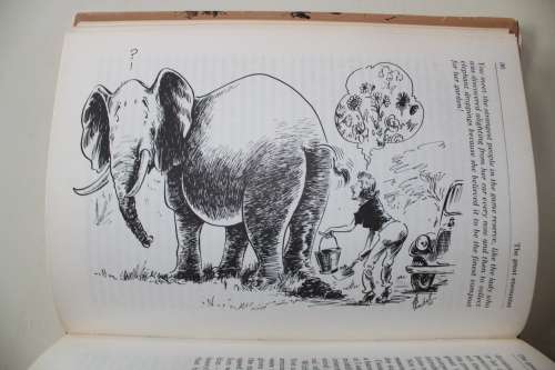 Kruger Park Saga -   Piet Meiring