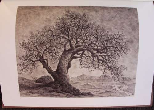 Lass Bäume sprechen -  Eberhard von Koenen - Art Book