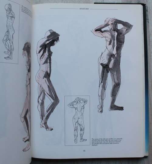 Anatomy perspective and composition for the artist  - Stan Smith