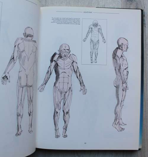 Anatomy perspective and composition for the artist  - Stan Smith