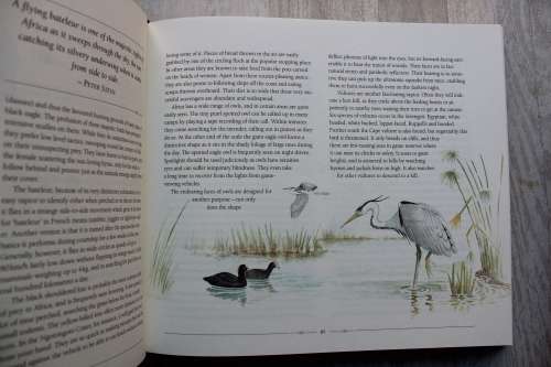 African Safari Journal in slipcase