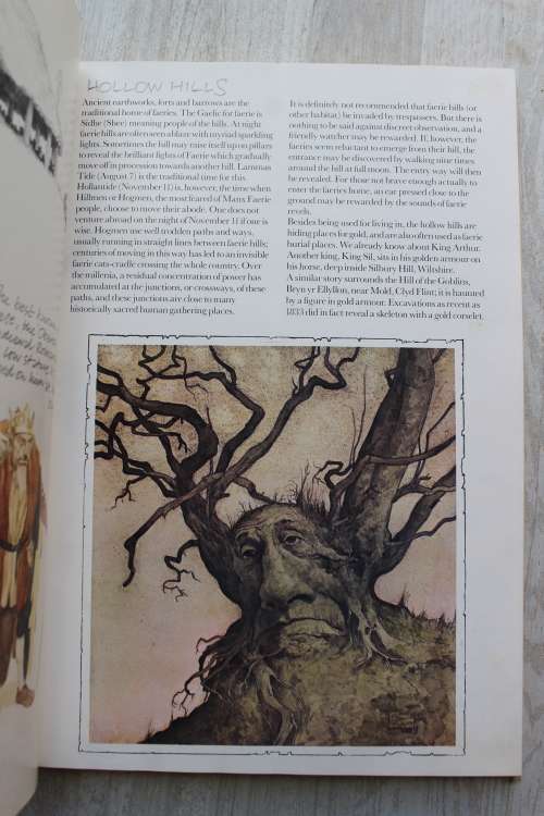 Faeries -   Alan Lee and Brian Froud