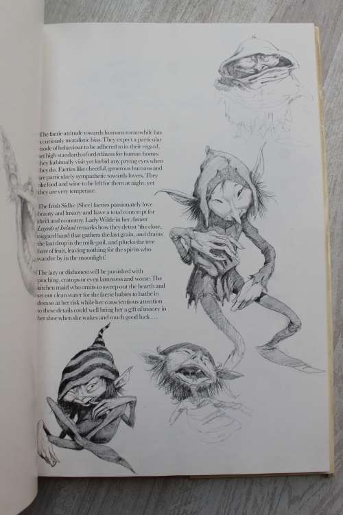Faeries -   Alan Lee and Brian Froud
