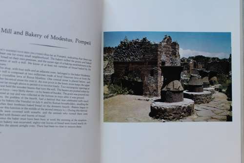 Great Treasures of Pompeii & Herculaneum     - Feder