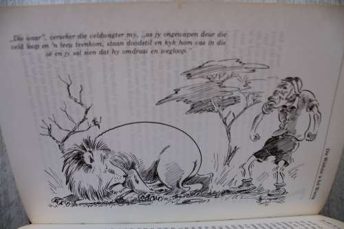 Die Wildtuin is hul Woning- Piet Meiring-Illustrasies- TO Honiball, Chris Ebersohn