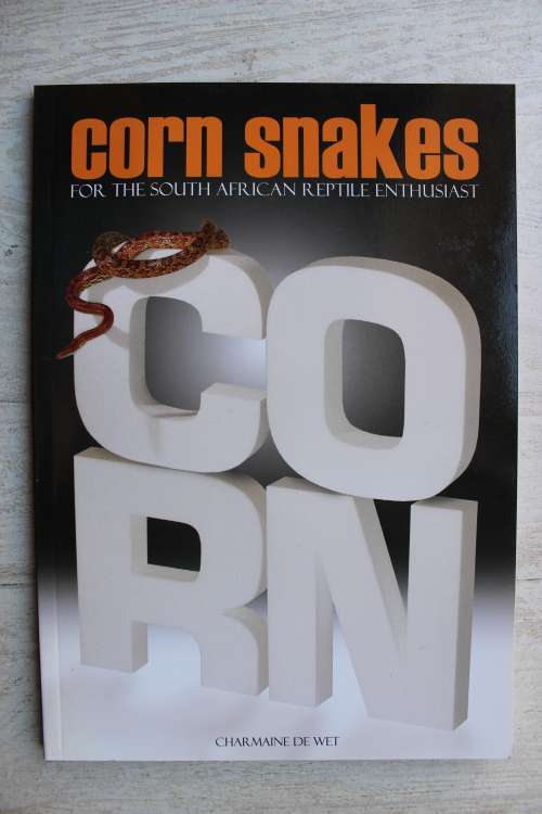 Corn Snakes for the South African reptile enthusiast   - Charmaine de Wet