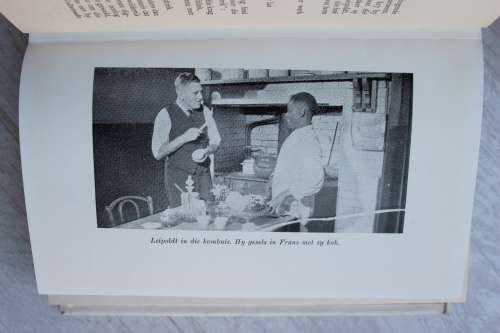 C. Louis Leipoldt Eensame Veelsydige -- P.J. Nienaber