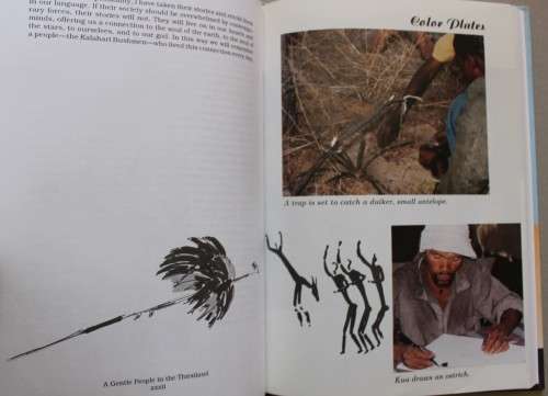 Why ostriches don`t fly and other tales from the African bush - Lewis