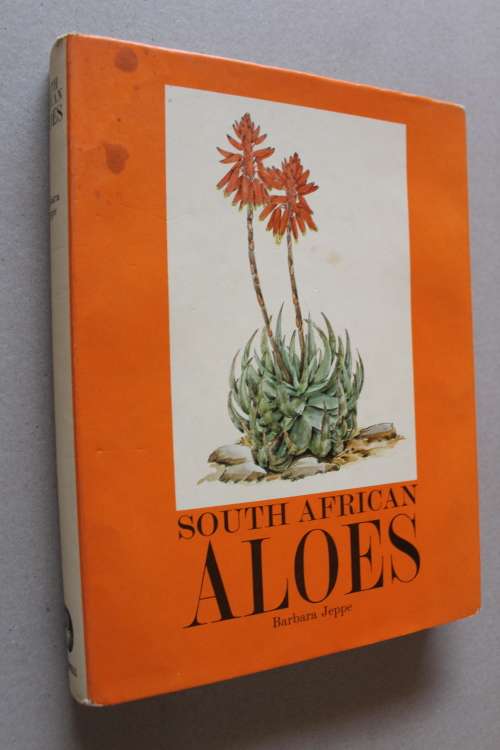 South African Aloes - barbara Jeppe