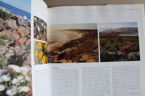 Namaqualand. A Succulent Desert - Cowling, Richard and Pierce, Shirley