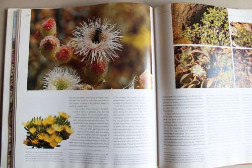 Namaqualand. A Succulent Desert - Cowling, Richard and Pierce, Shirley