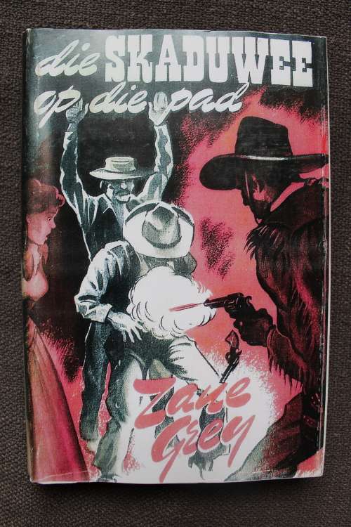 Die skaduwee op die pad - Zane Grey